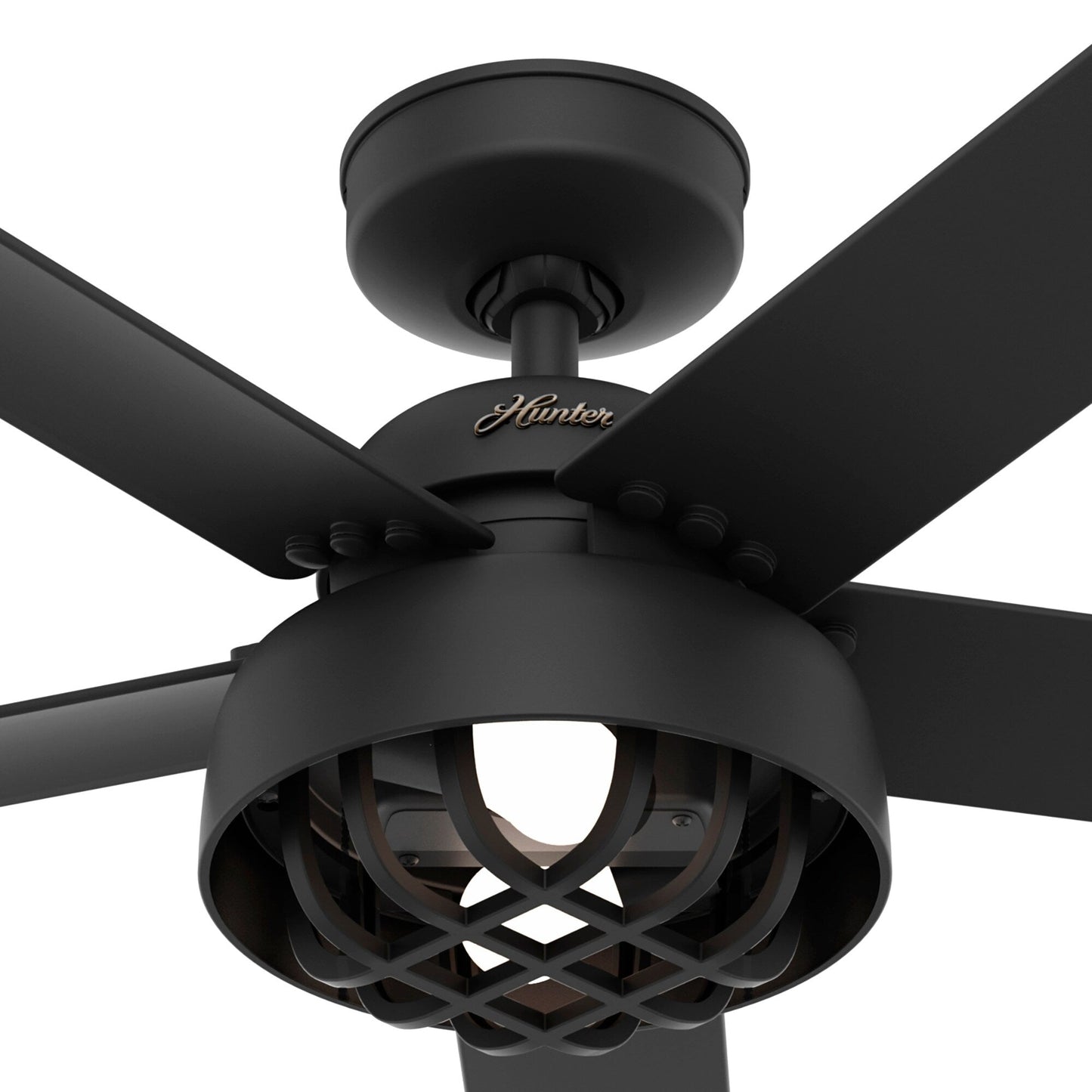 Ventilateur de plafond Hunter 52 Autumn Breeze II, éclairage LED intérieur/extérieur et télécommande portable - Style industriel, transitionnel, moderne, en cage