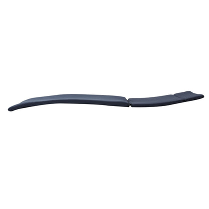 Ensemble de coussins d'extérieur Salem pour chaise longue - Coussins uniquement (lot de 2) par Christopher Knight Home - 79,25 L x 27,50 l x 1,50 H